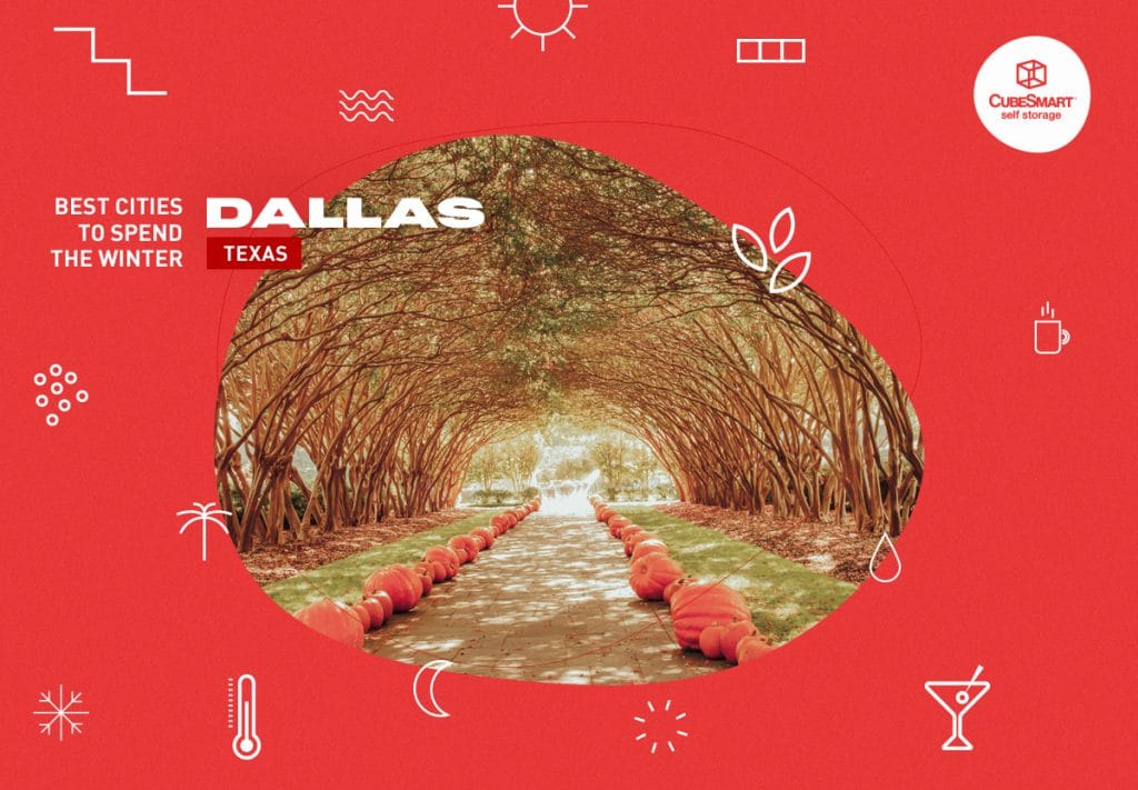 tree-lined walking path in dallas, tx in fall