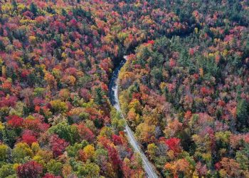 Colorful Fall Foliage shot from above