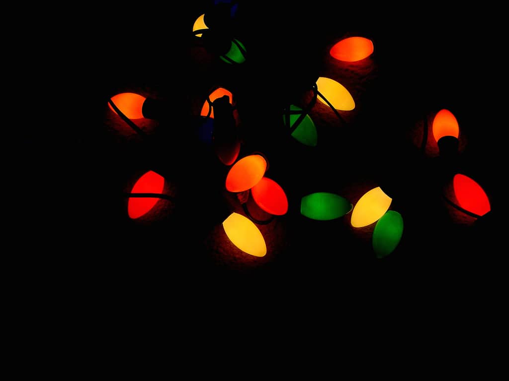 Ever since putting fairy lights in a jar last year, I've been obsessed with the soft glow of string lights in everything from bed canopies to art to ambient lighting on bookcases and shelves. Christmas lights add a touch of whimsy to any space and stir the heart as the days grow darker.