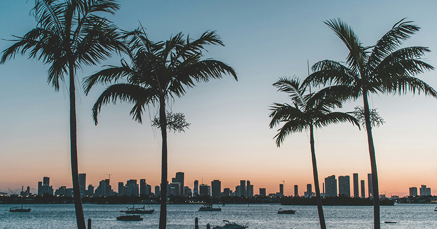A view of Miami beach at sunset with palm trees.