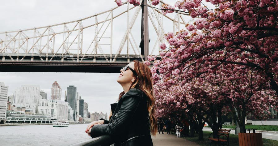 A woman in a light leather jacket and sunglasses is enjoying spring in NYC as she looks out across the East River from Roosevelt Island, with blossoming cherry trees and the Queensboro Bridge behind her.