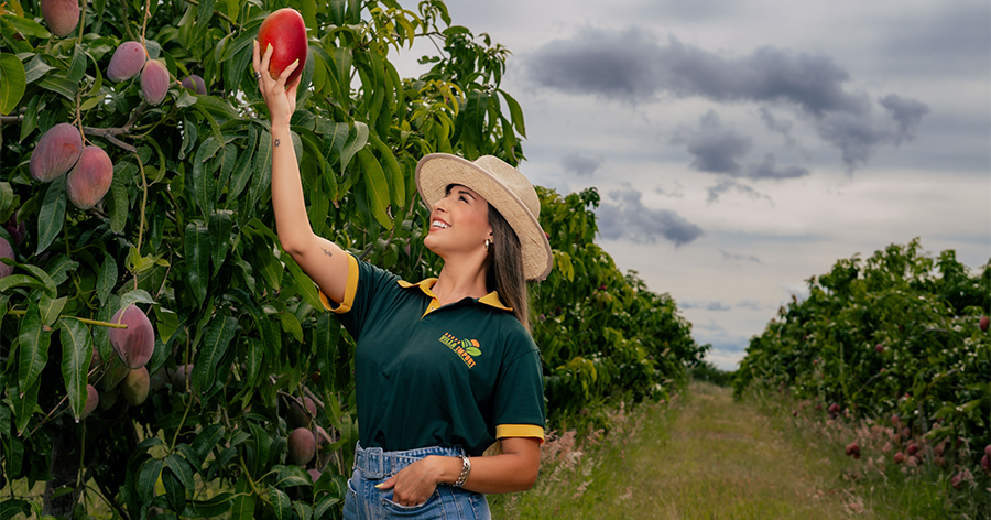 Woman grabbing mango