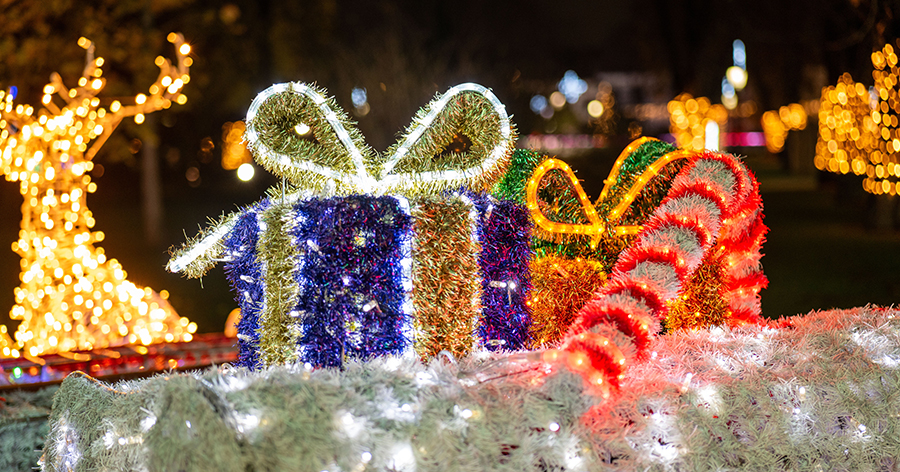Christmas decorations covered in lights