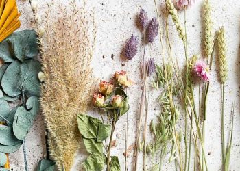 How to preserve flowers hero