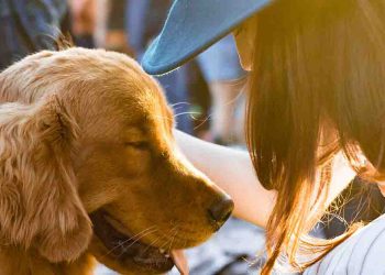 Woman and golden retriever