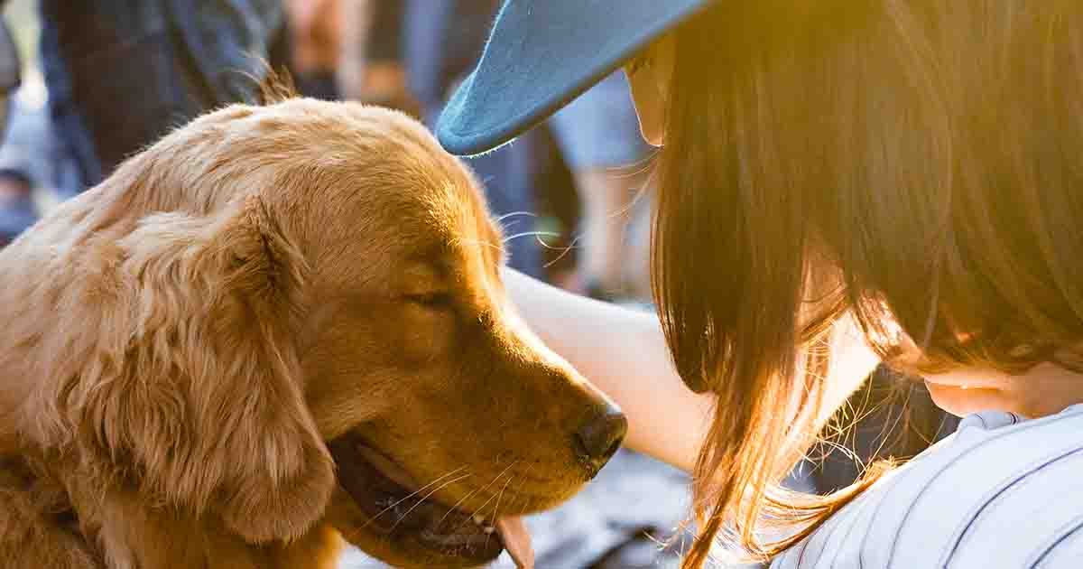 Best Cities for Dog Lovers Unleashing Canine Activities The Storage