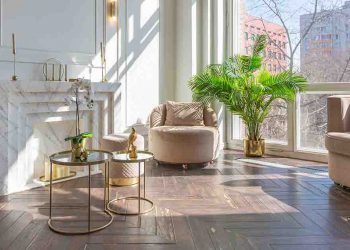 Light airy apartment with plant and chairs