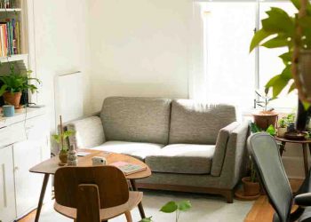 Small apartment with couch and plants