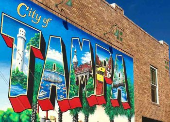 image of tampa fl