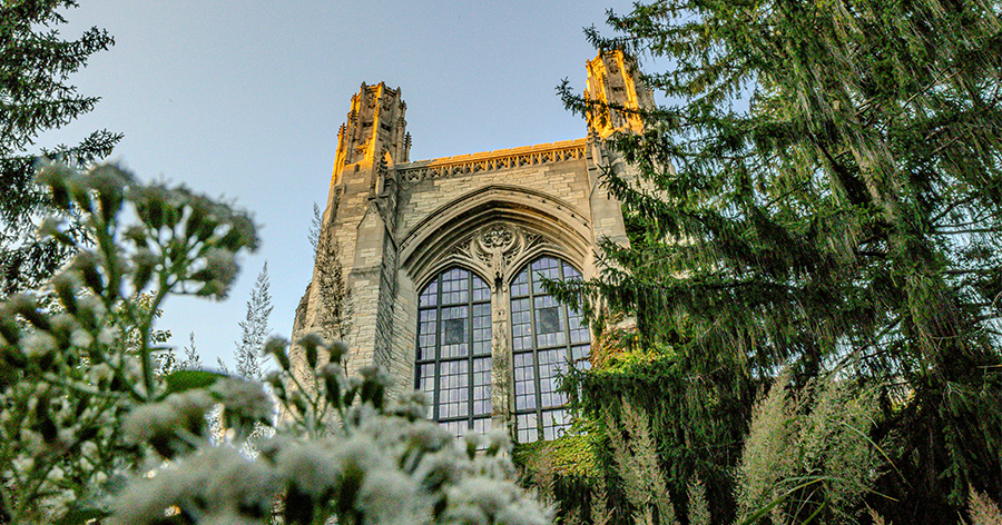 Large tower surrounded by trees.