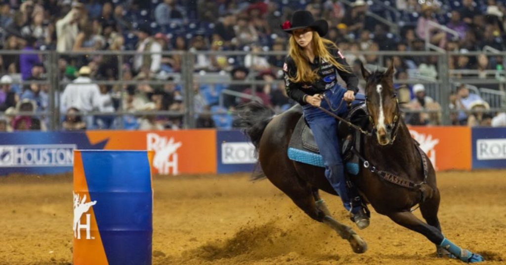 Houston rodeo