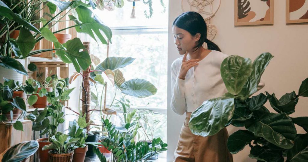 A woman is standing by a window, admiring all the houseplants that are thriving in the indoor garden retreat she transformed her spare room into.