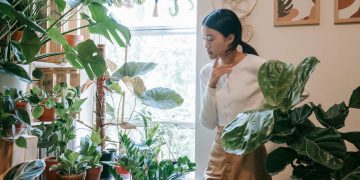 A woman is standing by a window, admiring all the houseplants that are thriving in the indoor garden retreat she transformed her spare room into.