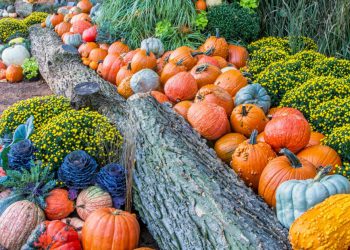 fall decor ideas hero