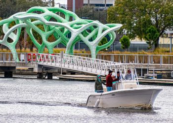 Tampa outdoor activities hero