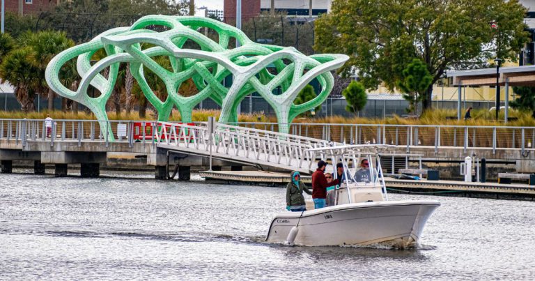 A Local’s Guide to Outdoor Activities in Tampa, FL