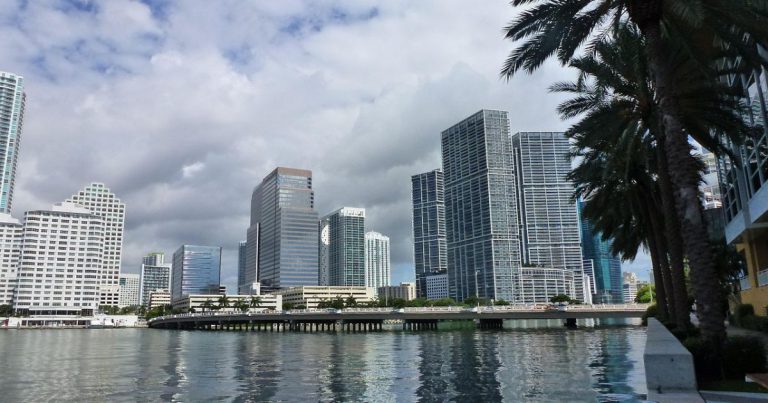 30 Unique Things to Do in Tampa, Florida for Every Budget