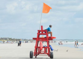 Living in Tallahassee hero