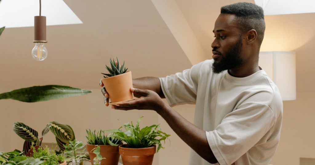 A man is standing beside a table filled with houseplants that he just moved, holding and inspecting a single succulent in a clay pot.
