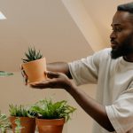 A man is standing beside a table filled with houseplants that he just moved, holding and inspecting a single succulent in a clay pot.