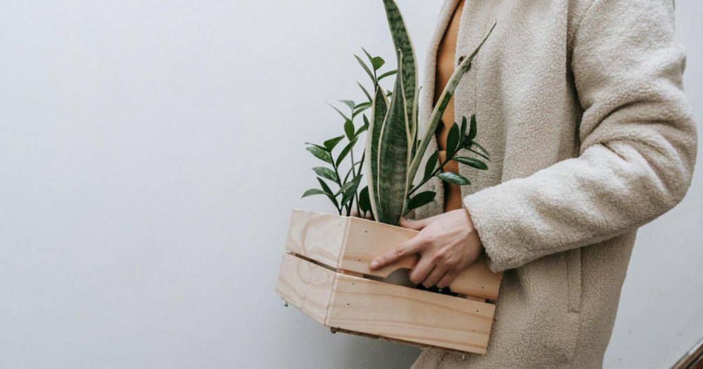 Close-up view of a woman carrying a small wooden crate of houseplants down the stairs during a local move.