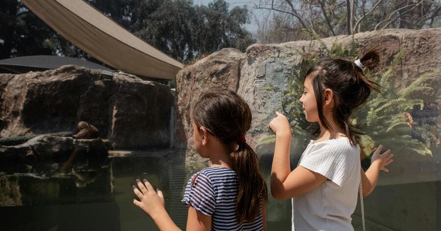 Two children are watching animals through a glass enclosure at a local zoo, one of the family-friendly things to do in Denver.