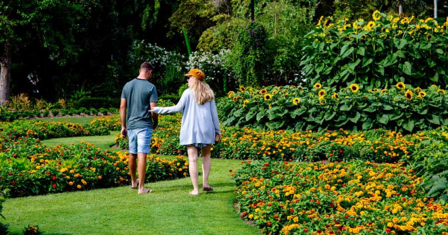 A couple is walking across a grassy path by lush flower beds in a botanical garden.