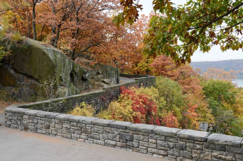 fall foliage in Fort Tyron Park in NYC