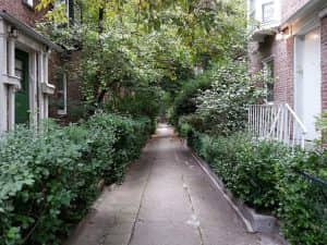 reason for queens neighborhood dispersio in sociologly reason for queens neighborhood dispersio in sociologly