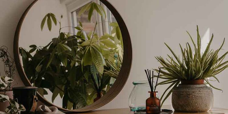 Biophilic Interior Design in 2023: How to Update Your Home