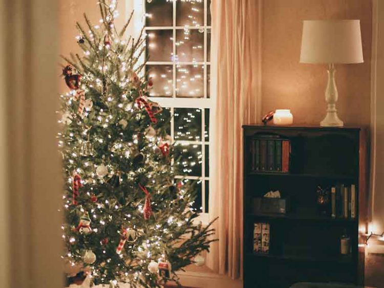 Christmas Tree in Living Room
