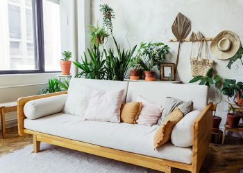 6 Ways to Embrace a Biophilic Home and Step into Nature Anytime