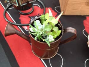 Plants growing in a watering can