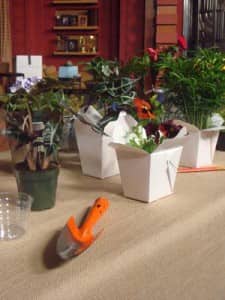 Paper take out containers with various herbs growing in them