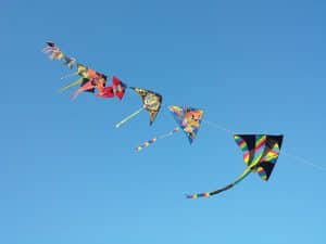 Mimi-February-Events-Kite-Festival
