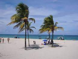 Miami Blog Post 6