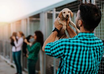 man holding puppy