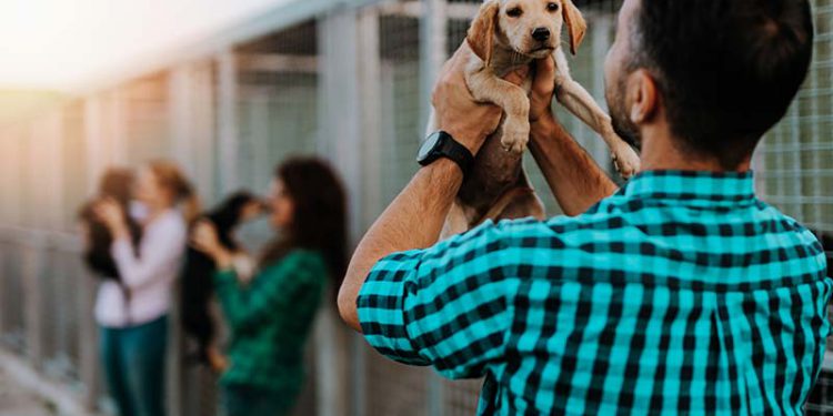 man holding puppy