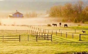 Glamping at Mountain Horse Farm