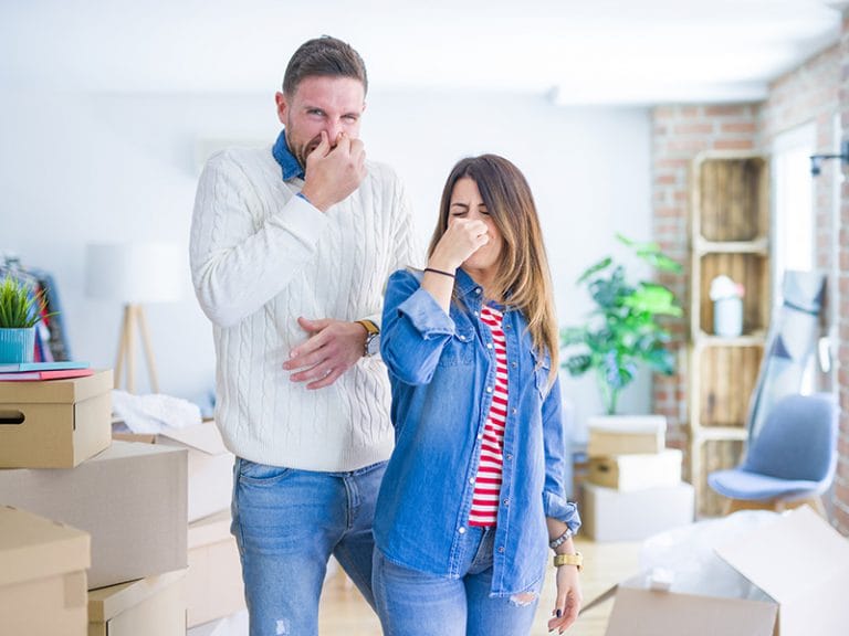 How to Get Smells Out of Your Home CubeSmart