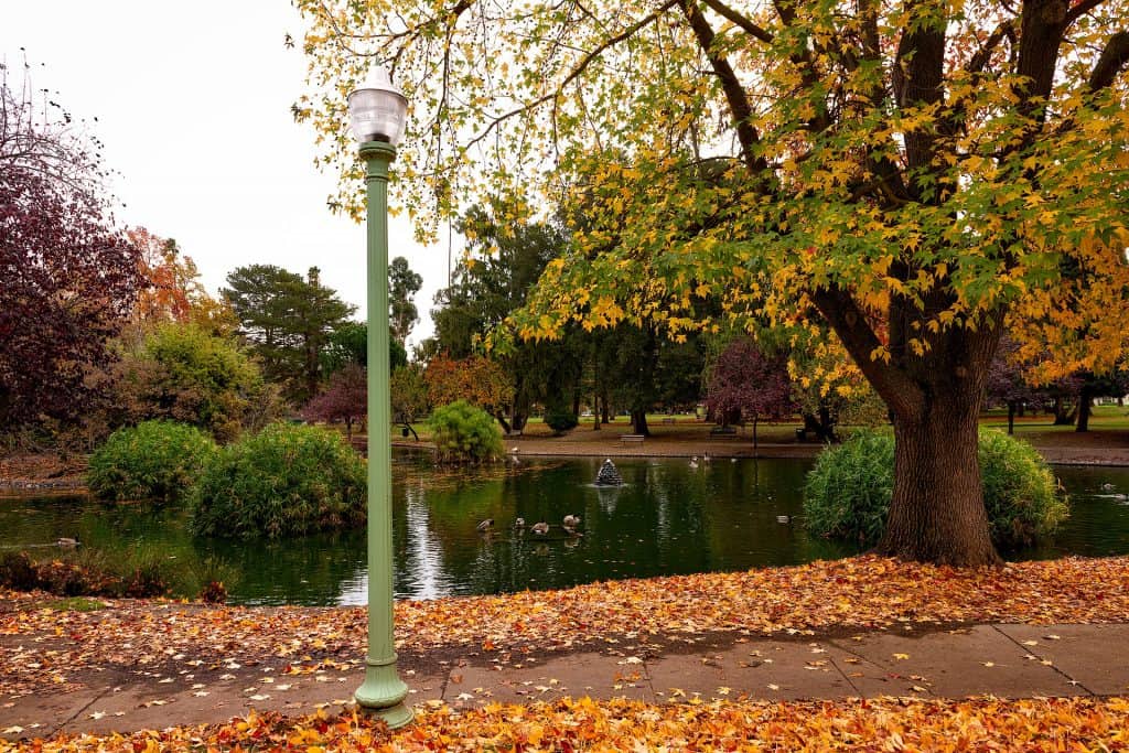Sacramento Park in the Fall