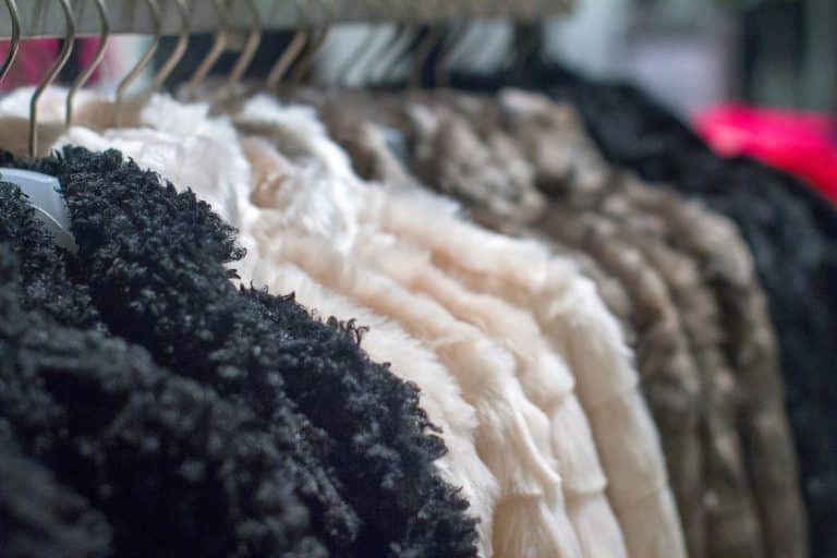 How to Get Rid of Clothes Moths Without Mothballs The Storage Space