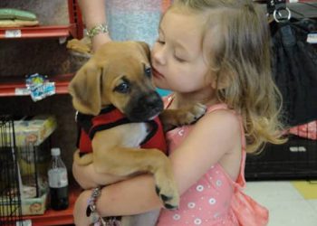 Houston Animal Shelters & Rescues to Find Your Next Furry Friend