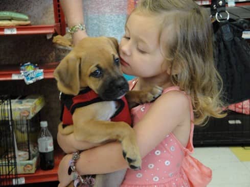 Houston Animal Shelters & Rescues to Find Your Next Furry Friend