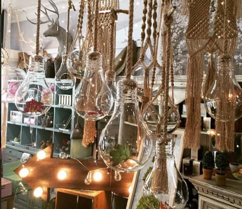 light bulbs with plants inside hanging from the ceiling