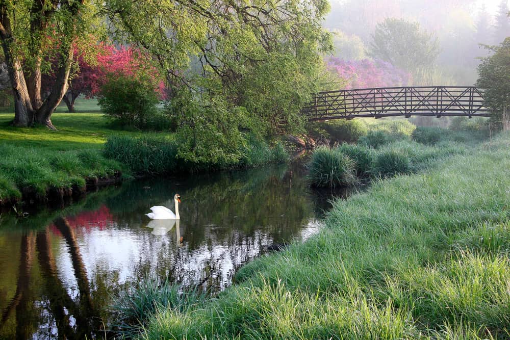 Milham Park in Kalamazoo MI