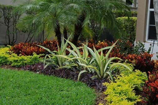 Tips For Landscaping And Gardening In South Florida Cubesmart