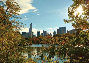 Central Park in Fall
