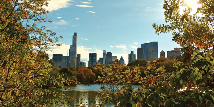 Central Park in Fall