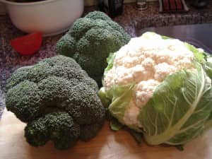 vegetable-storage-crisper